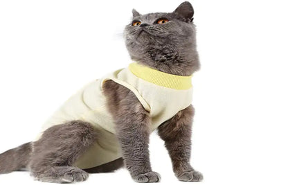 Post-Surgery Weaning Clothes for Female Cats