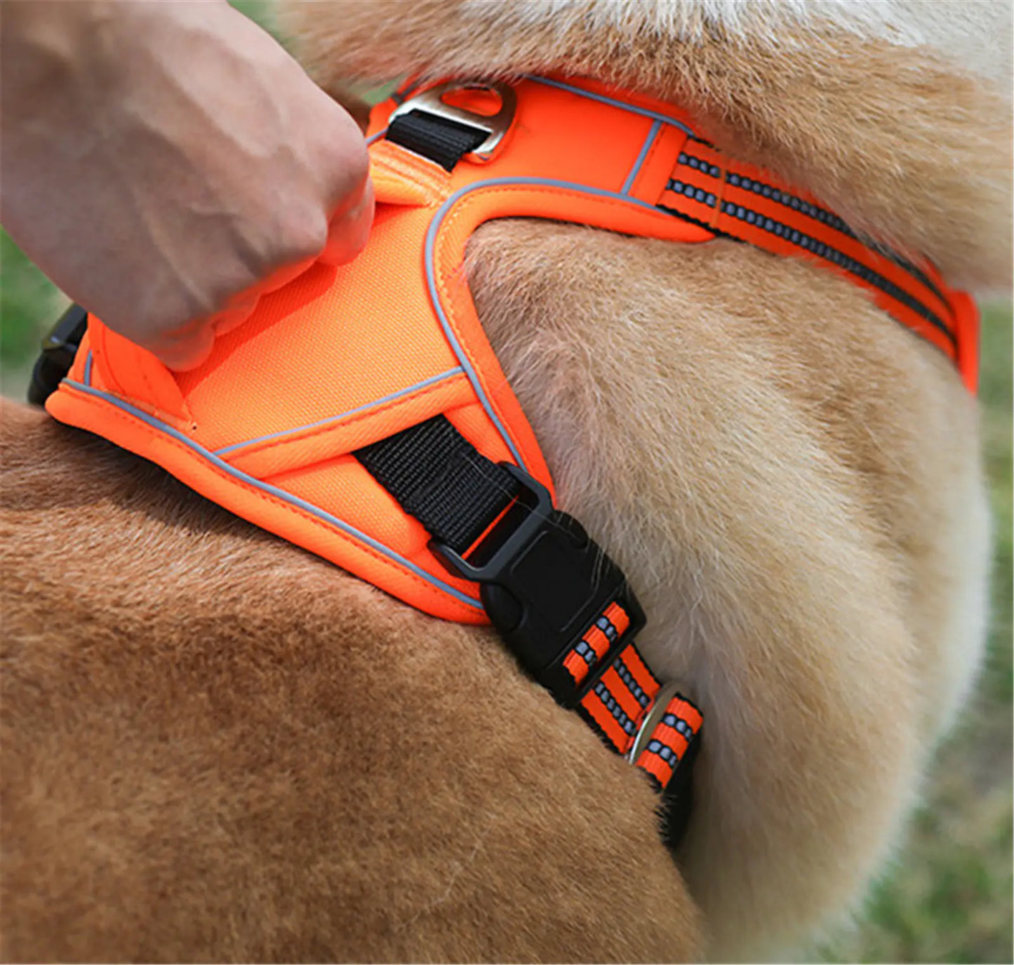 Sturdy All-Weather Pet Harness