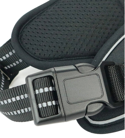 Sturdy All-Weather Pet Harness
