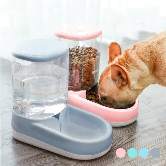 Pet Hydration Station