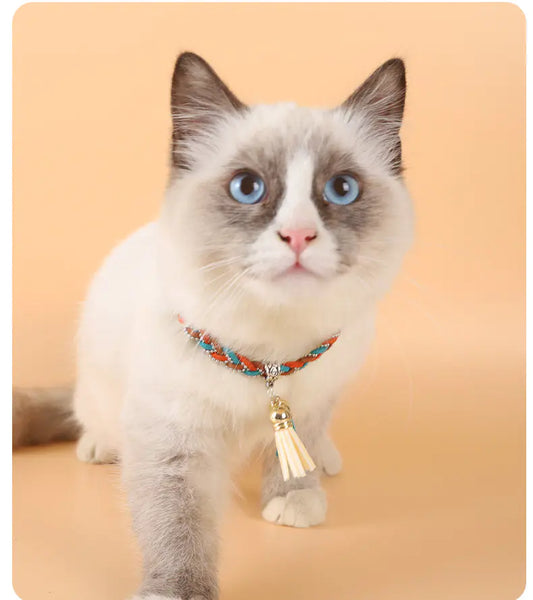 Constellation Necklaces for Cats and Dogs