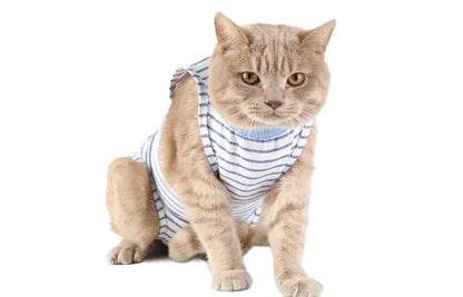 Post-Surgery Weaning Clothes for Female Cats