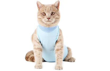 Post-Surgery Weaning Clothes for Female Cats