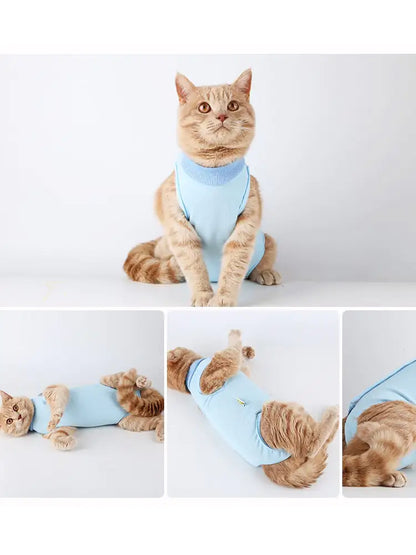 Post-Surgery Weaning Clothes for Female Cats