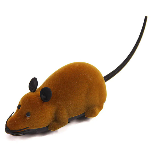 RoboMouse Cat Toy