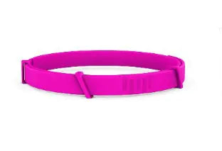 Flea-Free Pet Collar