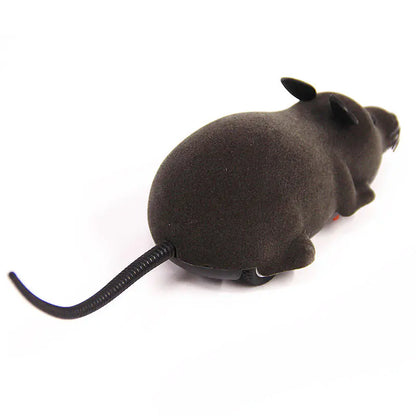 RoboMouse Cat Toy