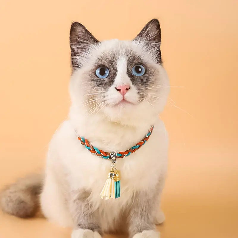Constellation Necklaces for Cats and Dogs