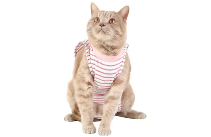 Post-Surgery Weaning Clothes for Female Cats