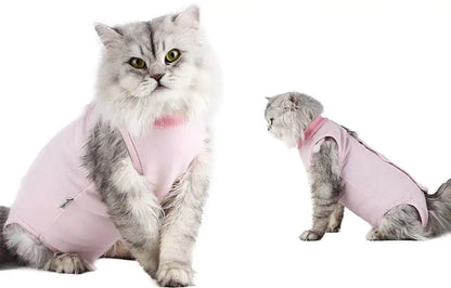 Post-Surgery Weaning Clothes for Female Cats
