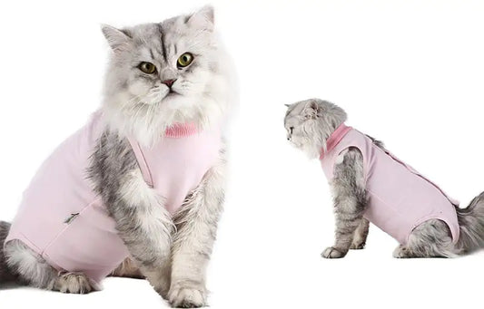 Post-Surgery Weaning Clothes for Female Cats