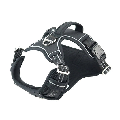 Sturdy All-Weather Pet Harness