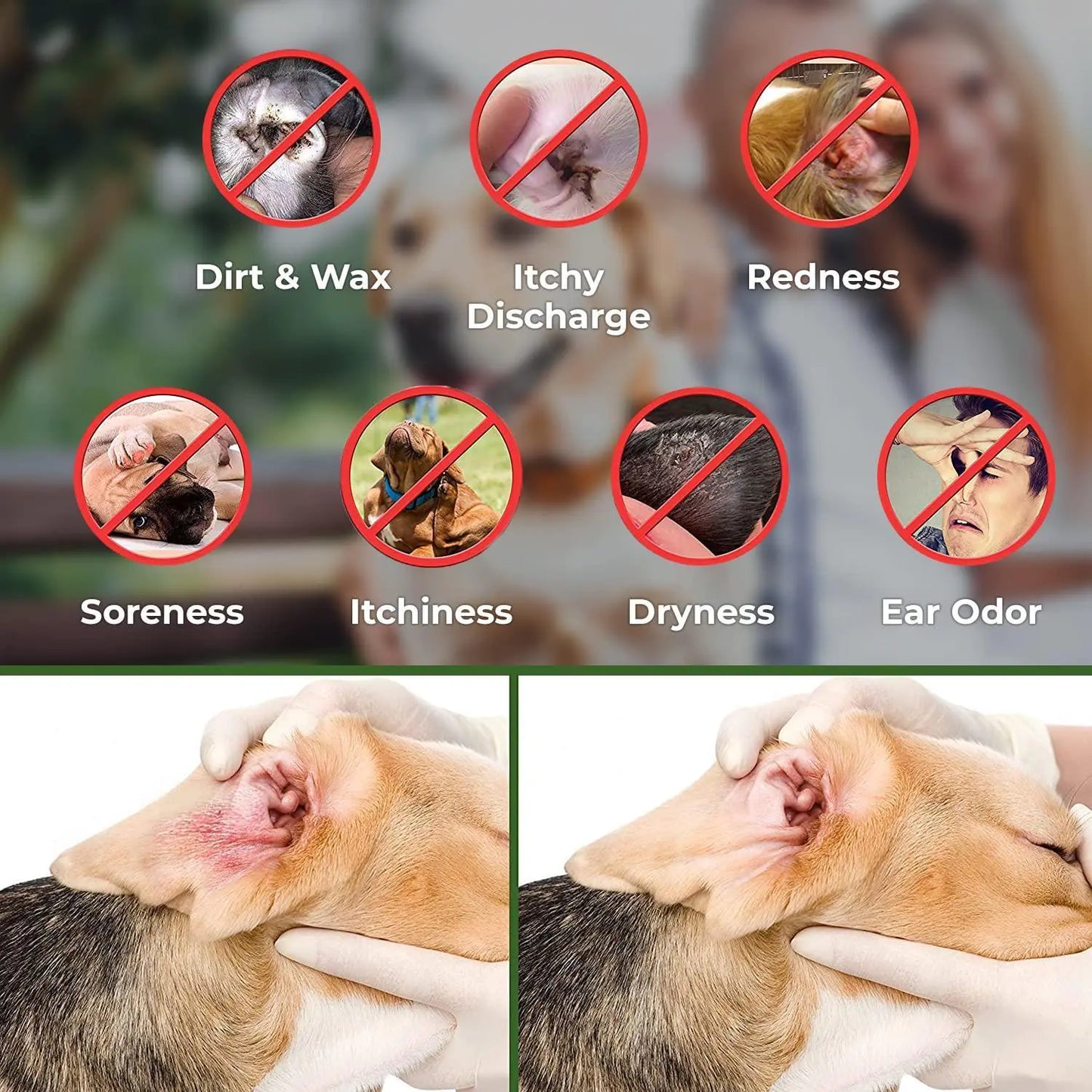 Pet Ear Cleaning Wipes for Dogs and Cats 100ct - Removes Dirt & Wax