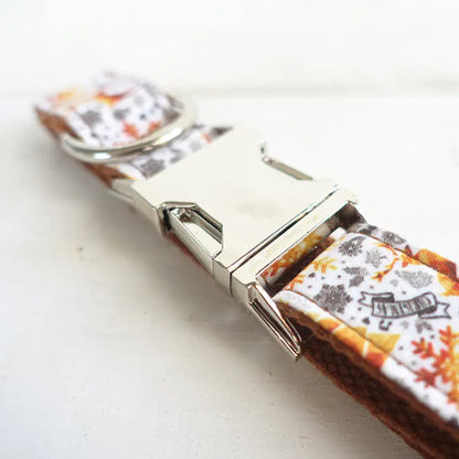 Festive Golden Dog Collar